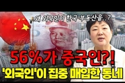 “한국 부동산 쇼핑 중” 중국인이 집중 공략한 동네│“이 정도면 땅 사재기 아닌가요?” | 외국인 매수 10만 호 돌파…